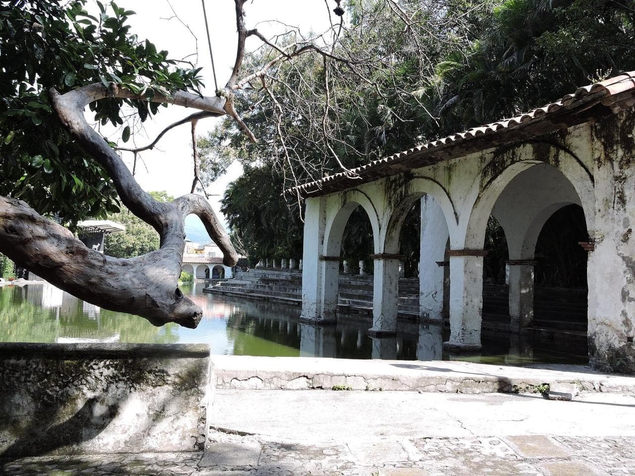 Cuernavaca (foto: JathZamudio)