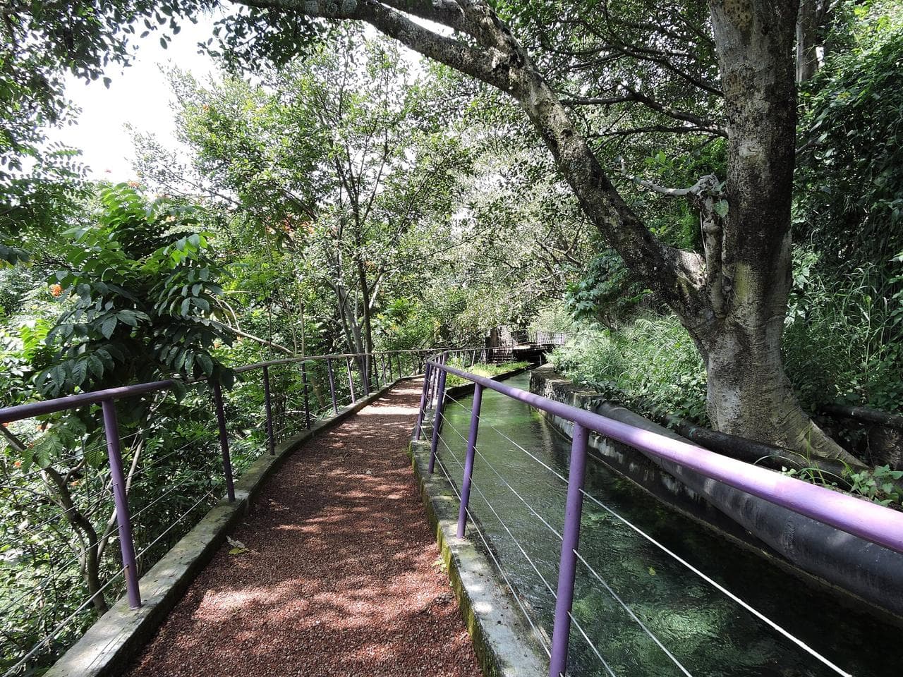Cuernavaca (foto: JathZamudio)