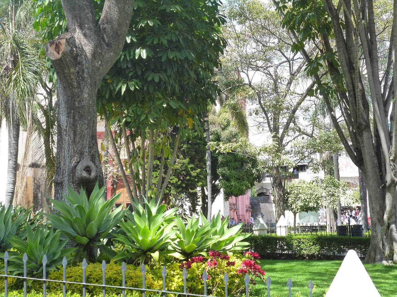 Cuernavaca (foto: GABIEGUIN)