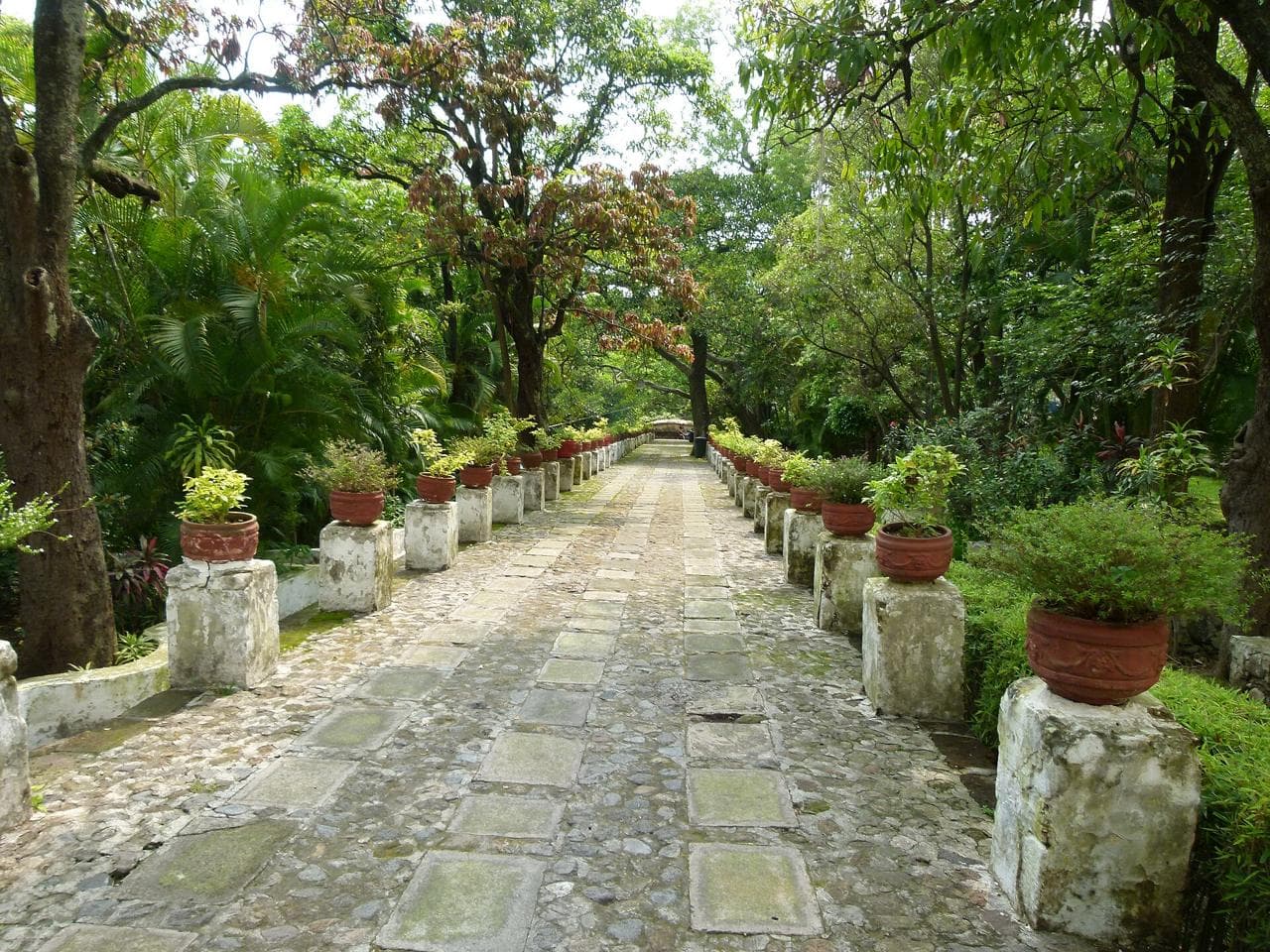 Cuernavaca (foto: Eduardo Serrano Pérez)